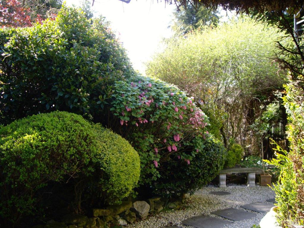 Nottingham Lodge Bed & Breakfast