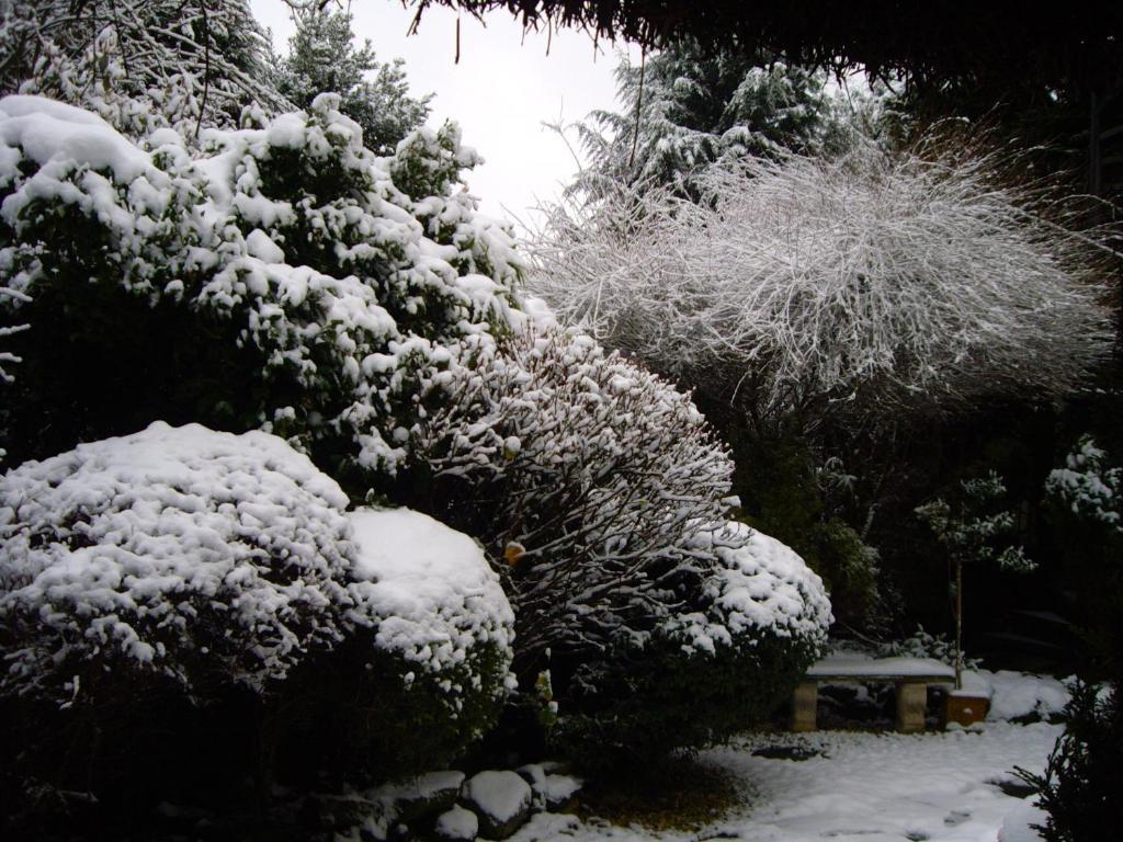 Bed & Breakfast Nottingham Lodge 4*